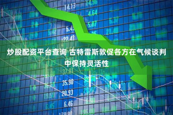炒股配资平台查询 古特雷斯敦促各方在气候谈判中保持灵活性